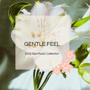 Gentle Feel - 2020 Spa Music Collection