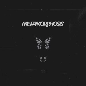 Wings and Whispers (feat. DREMI) (Explicit)