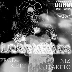 Los pasillos (feat. niz flaketo) [Explicit]