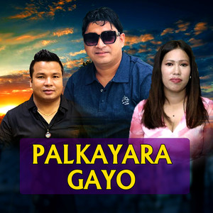 Palkayara Gayo
