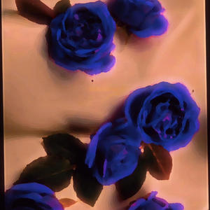 Late nIghts iN Houston (feat. Kenooo) (Explicit)