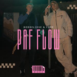 PaF Flow (feat. Benjo833) [Explicit]