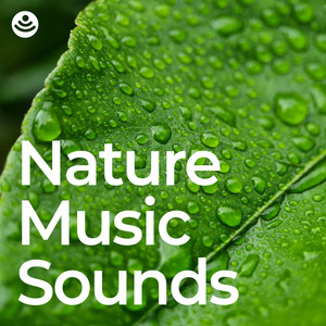 Nature Music Sounds