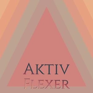 Aktiv Flexer