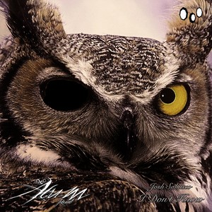 I Don't Know (Original Mix)