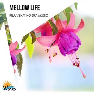 Mellow Life - Rejuvenating Spa Music