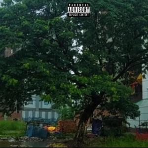 Lady Of The Lake (Explicit)