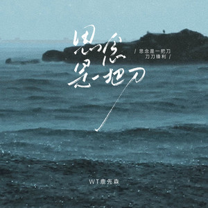 思念是一把刀 (思念是一把刀刀刀锋利)