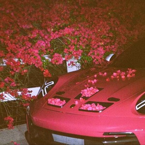 The Monster (辣度百分百)