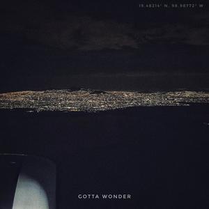 Gotta Wonder (Instrumental)
