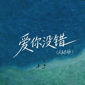 爱你没错 (R&B版)封面