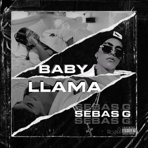 Baby Llama (Explicit)