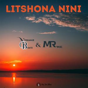 Ziphelele (feat. Snothile, NYL & Nvrth)