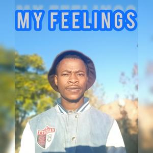 My feelings (feat. eMeLJay Prosper) [Explicit]