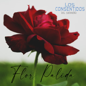 Flor Palida