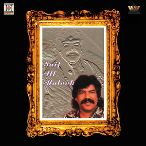 Shaukat Ali - Saif Ul Malook 1.2