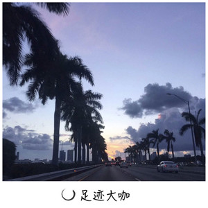 琼海国都 (DJ版)