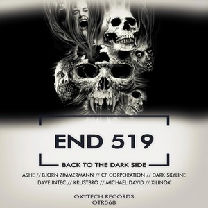 Back to the Dark Side (Björn Zimmermann Remix)