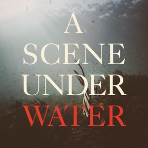 A Scene Under Water