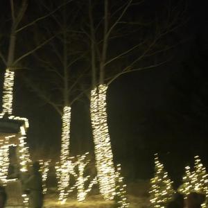 winterwonderland!(feat. kiernann) (Explicit)