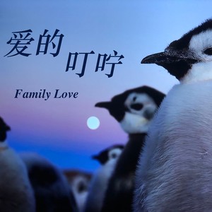 爱的叮咛
