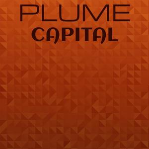 Plume Capital