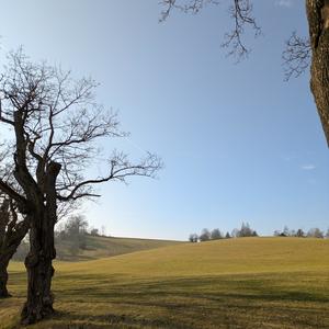 marty mcfly (feat. jelias)