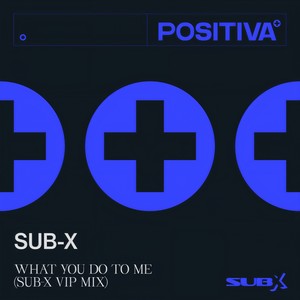 What You Do To Me (SUB-X VIP Mix)