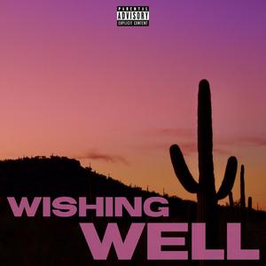 Wishing Well (Explicit)