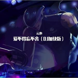爱不得忘不舍 (加快DJ版)