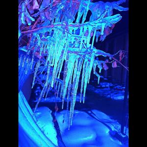 eyesickles (Explicit)