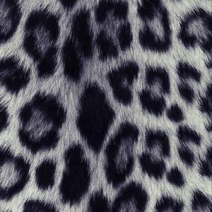 WHO LOVE ME THE MOST? (Explicit)