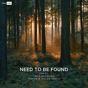 Need To Be Found (Doppe & Kokke Remix)