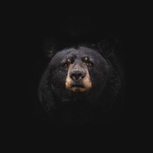 I'm not Roddy Ricch but blackbear give me some vibe it was 6LACK (Explicit)