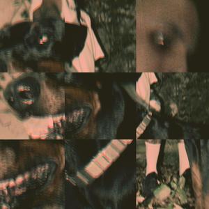 Dawa (feat. Oz) (Explicit)