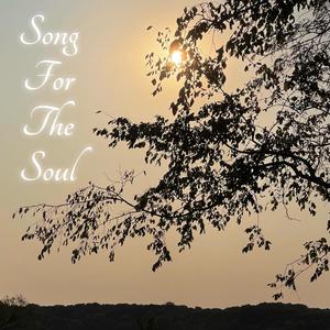 Song For The Soul (Explicit)