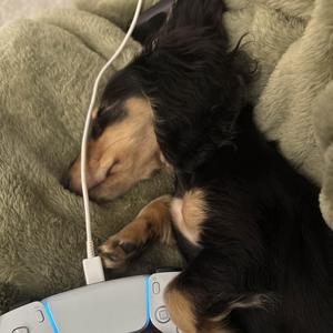 nobap (feat. traqqa) (Explicit)