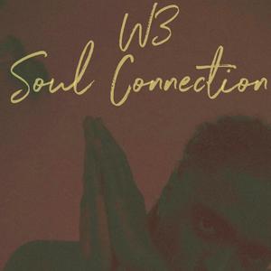 Soul Connection (Explicit)