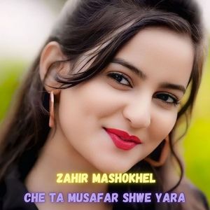 Che Ta Musafar Shwe Yara