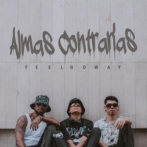 Almas Contrarias