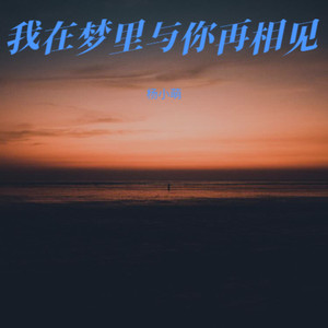 我在梦里与你再相见（我在菩提树下求过签）