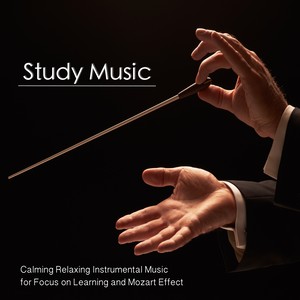 Reading (Musica Instrumental para Estudiar)