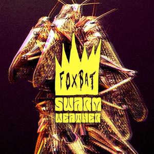 Swarm Weather (Explicit)