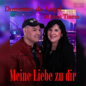 Meine Liebe zu dir (Maxi)