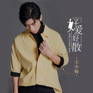 好爱好散 (DJ小男孩版)