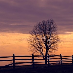 Bring My Brother Back to Me