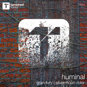 Gran Fury (Original Mix)