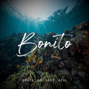 Bonito - Gruta do Lago Azul