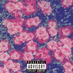 ROSES (Explicit)