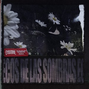 Ecos De Las Sombras